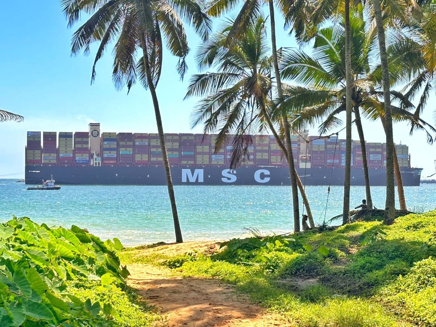A container ship passing palm-fringed shoreline near Vizhinjam